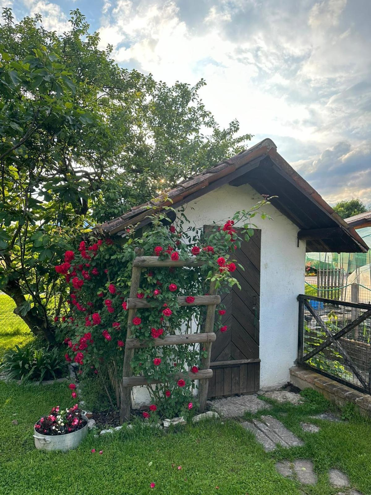 Casa Giovannella Feltre Exteriér fotografie